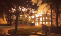 谁干的？奥克兰东区政府公屋突发大火，附近居民反而“幸灾乐祸”？