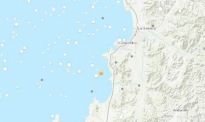 智利近海发生6.7级地震：暂无伤亡 不会引发海啸