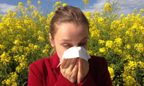 花粉又开始增多了，在新西兰如何应对过敏并预防花粉过敏呢？