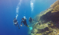 两名中国游客在印尼潜水时失踪 海空搜救正在进行