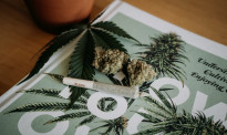 最新研究：药用大麻对多类疾病有疗效