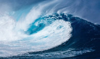 新西兰这些地区发生海啸的风险高，包括奥克兰