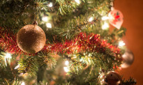 通货膨胀圣诞树涨价20% 专家建议选择更小尺寸购买