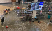 暴雨过后，预计今天有25000名乘客飞离奥克兰机场