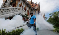 泰国登革热确诊超1.3万例 已致12人死亡