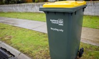 奥克兰人注意！新的可回收垃圾标准下月生效，这些物品不能回收啦！