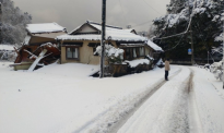 一名中国游客在日本掉落雪洞死亡