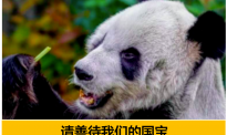 【北美留学生日报】疑遭虐待，抑郁症…拜登就职当天无数中国人更担心在美大熊猫处境