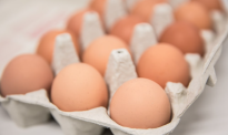 20分钟抢光！排一个多小时买蛋！新西兰缺40万颗蛋，还要等多久才能缓解？