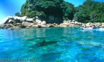 【新西兰地理】南岛塔斯曼地区 汤加岛海洋保护区