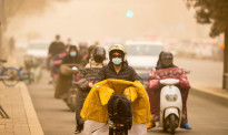 最强沙尘暴背后，是蒙古国的挣扎