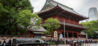 日媒民调：半数以上日本民众反对为安倍办国葬