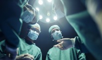 全球首例猪心脏移植患者死亡原因公布 “猪器官”何时才能为人类所用？