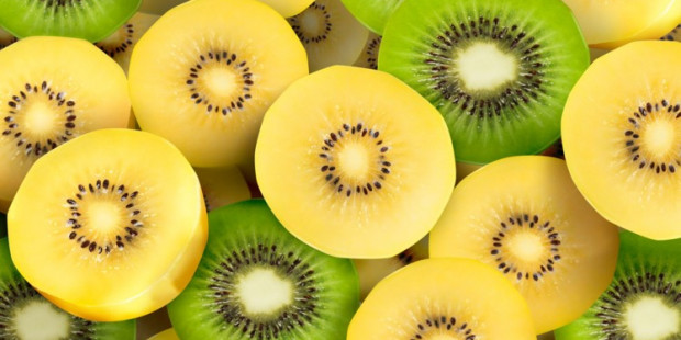 Kiwi catastrophe Labour shortage declared as half of kiwifruit crops yet to be harvested wrbm large2