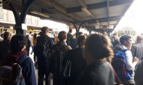 数百人挤在惠灵顿火车站台，故障导致火车班次延误或取消