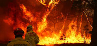 澳洲消防员纵火再灭火，183人涉山火相关罪行被起诉！