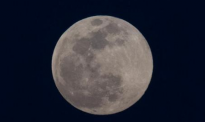 “超级月亮”巧遇春分，这份“观天时刻表”请收好！