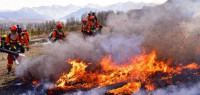 2019年中国发生森林火灾2345起 受害面积约13505公顷