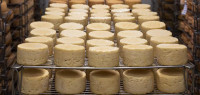 新欧敲定自贸协定后，新西兰奶酪爱好者不淡定了