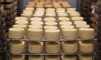 新欧敲定自贸协定后，新西兰奶酪爱好者不淡定了