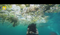 巴厘岛潜水 "塑料汤"海景视频催人心碎