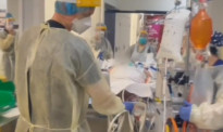 新西兰疫情的“前车之鉴”：澳洲医院ICU情况如何？