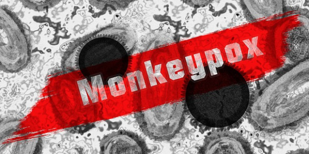monkey pox 7217582 640 v2