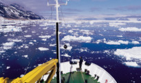 南极 VS 北极：极地游也有差异 人均超5万人民币 你需要这样一份攻略