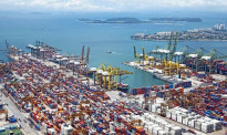 各类不利因素冲击下，新西兰出口商逆势增长