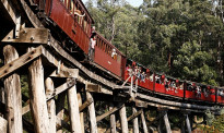 澳洲观光火车事故致中国游客重伤 列车暂禁厢外晃腿 