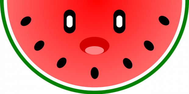 watermelon 4854649 640 v2