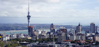 转让给外国人的新西兰房屋数量，与上一季度持平