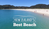 【这才是新西兰】“新西兰最佳海滩”诞生！就在奥克兰周边，你去过了吗？
