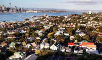 新西兰式“啃老”：首次置业奥克兰 八成买房靠父母