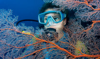 拯救大堡礁 科学家拟向空中射盐 分散阳光