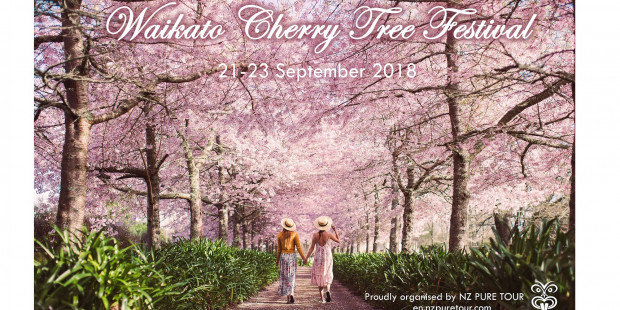 Waikato Cherry Tree Festival POSTER 20183000x2003