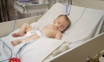 11个月大女婴进了重症监护室！奥克兰家庭再不想住“沼泽房”