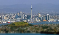 新西兰失业率创十年新低！然而技能短缺也快空前绝后了……