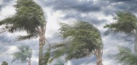 “破坏性”大风天气仍持续！南岛出现6500多道闪电