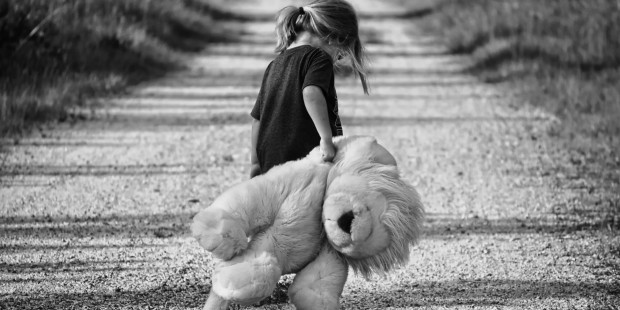 boy walking teddy bear child 48794