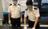 一探亲回国旅客入境藏人体胎盘 广东海关截留销毁