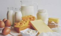 人民币“破七”后：全球乳制品价格下挫，新西兰奶农心里苦