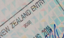 重磅！新西兰移民局“大批发”！批了100万份签证！难民达1507名！这些签证通过率曝光了……