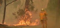 不一样的圣诞节：澳大利亚消防员及志愿者奋力救火