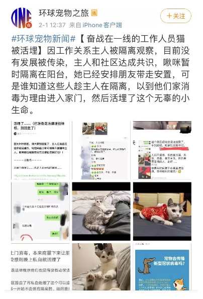 WeChat Screenshot 20200205112556