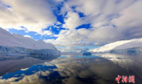 首破20摄氏度！南极大陆监测到有记录以来最高气温