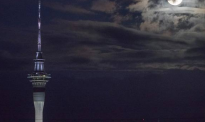 超级月亮照亮新西兰的天空，你看到了吗？