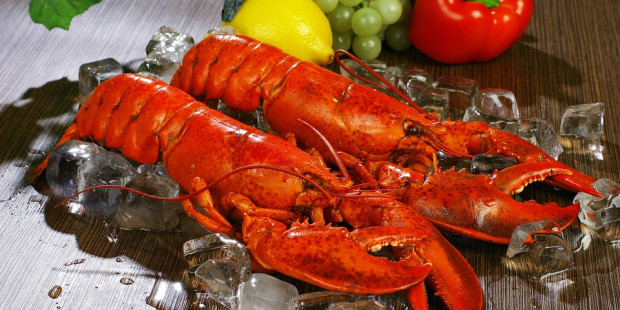 lobsters 1527602 960 720 v2