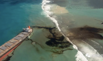 日本货船在毛里求斯触礁漏油引发生态危机 船主致歉