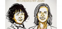 2020诺贝尔化学奖揭晓 2名女科学家获奖